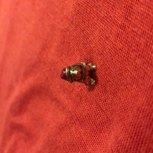 Pandora charm